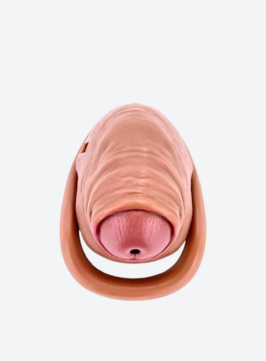Ultrarealistischer CB-Cock Cage