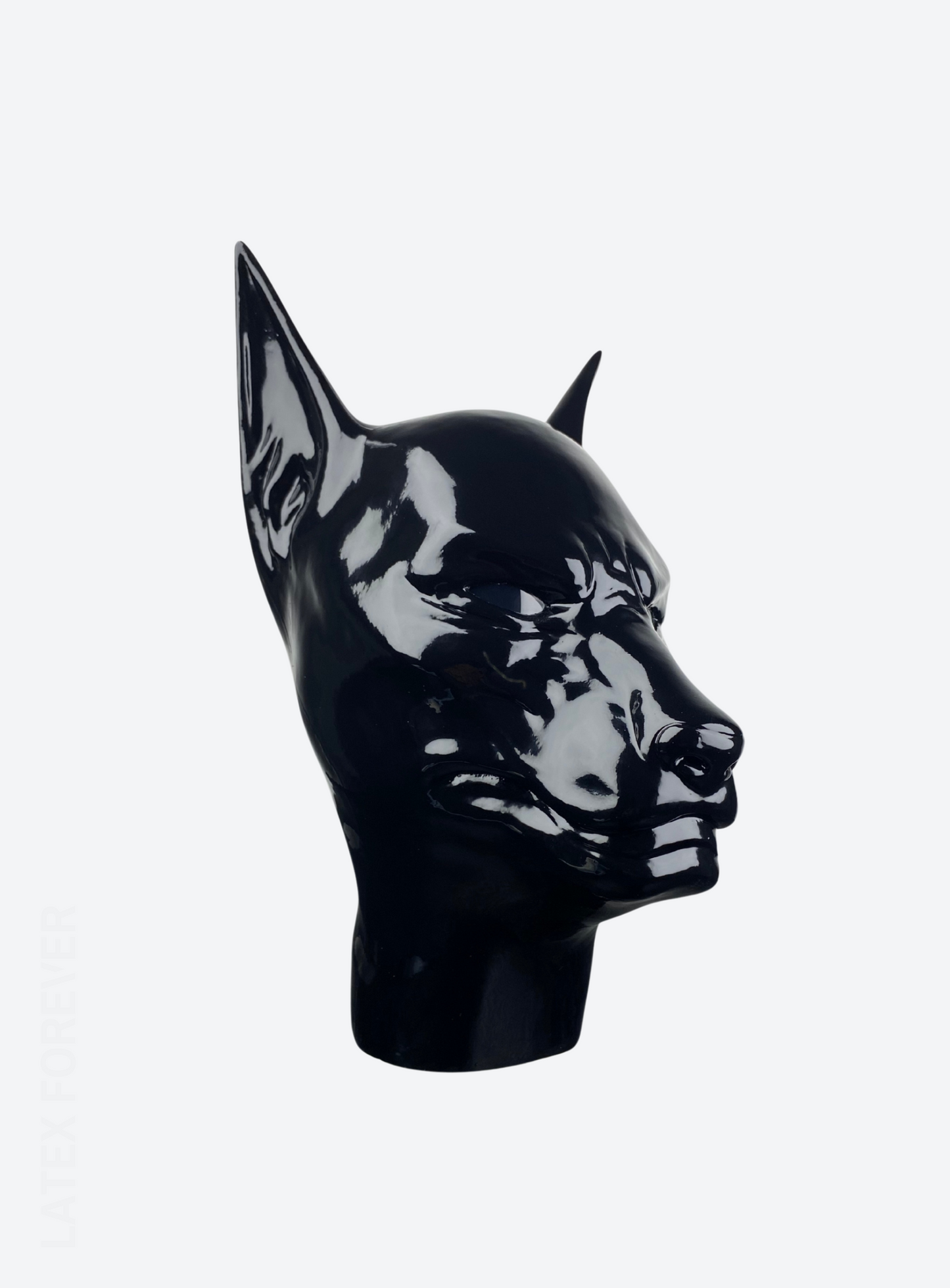 Anubis